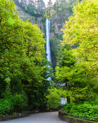 Multnomah Falls-140514-001-Edit-WEB.jpg