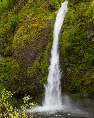 Horsetail Falls-140514-008-Edit-WEB.jpg