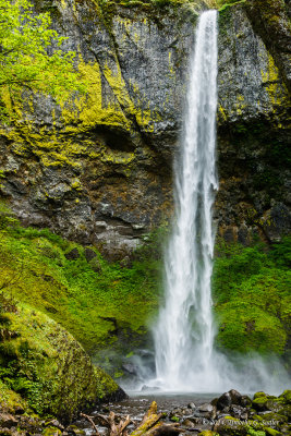 Elowah Falls-140514-018-Edit-WEB.jpg
