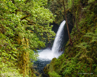 Metlako Falls-140515-001-Edit-WEB.jpg