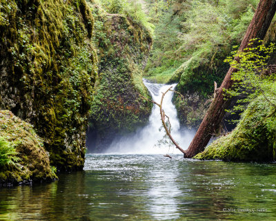 Punchbowl Falls-140515-017-Edit-WEB.jpg