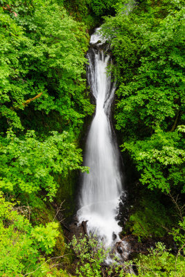 Shepherd's Dell-140516-005-Edit-WEB.jpg