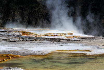 Mammoth Hot Springs-140522-012-WEB.jpg