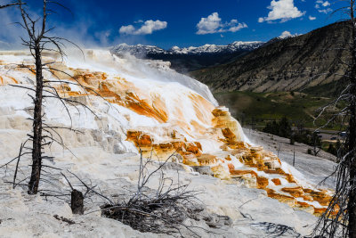 yellowstone_2014