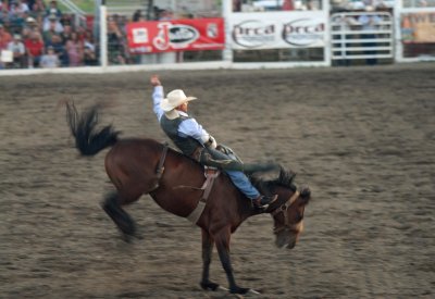 Livingston Rodeo
