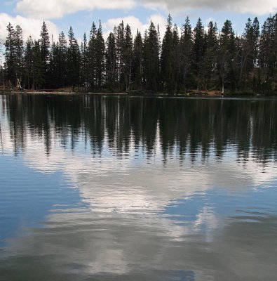 Fairy Lake Reflections