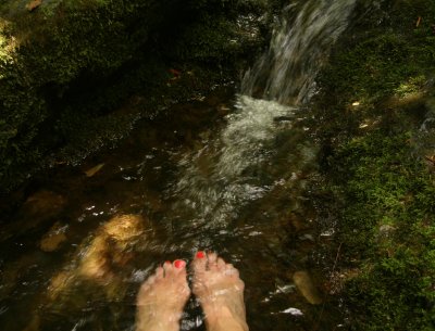 Cooling my feet at Dark Hollow Falls