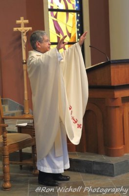 OLG_FatherVince_25yr_Priesthood_Blessing_0900_12Apr2015_0279 [800x600 wmg12].JPG