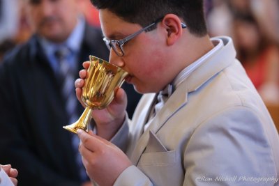 OLG-FirstCommunion_1130_12Apr2015_0287_0333 [800x600 wmg12].JPG