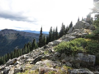 Other Misc Photos - Cascade Crest 100 Endurance Run 2015