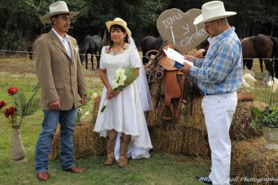 Carmen_David_Wedding_AK_HorseAdventures_23Aug2015_0048 [800x600 wmg12].JPG