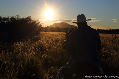 Carmen_David_Wedding_AK_HorseAdventures_23Aug2015_0338 [800x600 wmg12].JPG