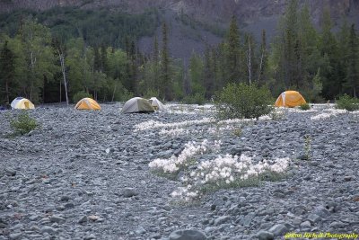 EE_CrowPass_Trail_19Jul2016_0065 [1024x768] [800x600 no wm].JPG