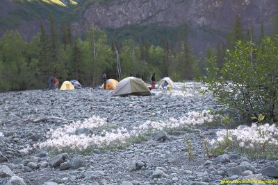 EE_CrowPass_Trail_19Jul2016_0086 [1024x768] [800x600 no wm].JPG
