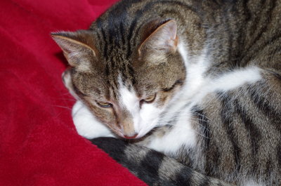 IMGP0482.JPG