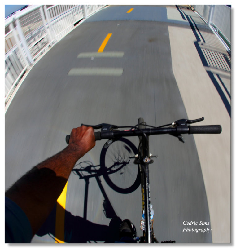 Biking on the Bay Bridge