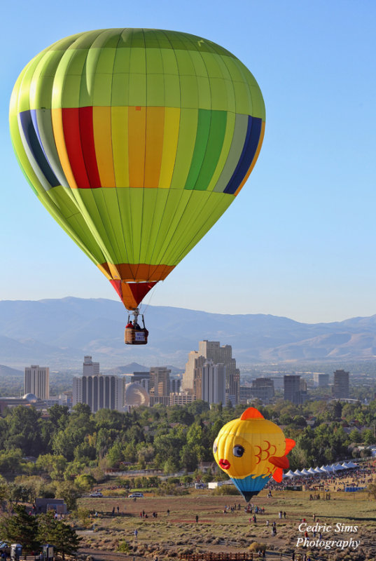   Great Reno Balloon Race 2014