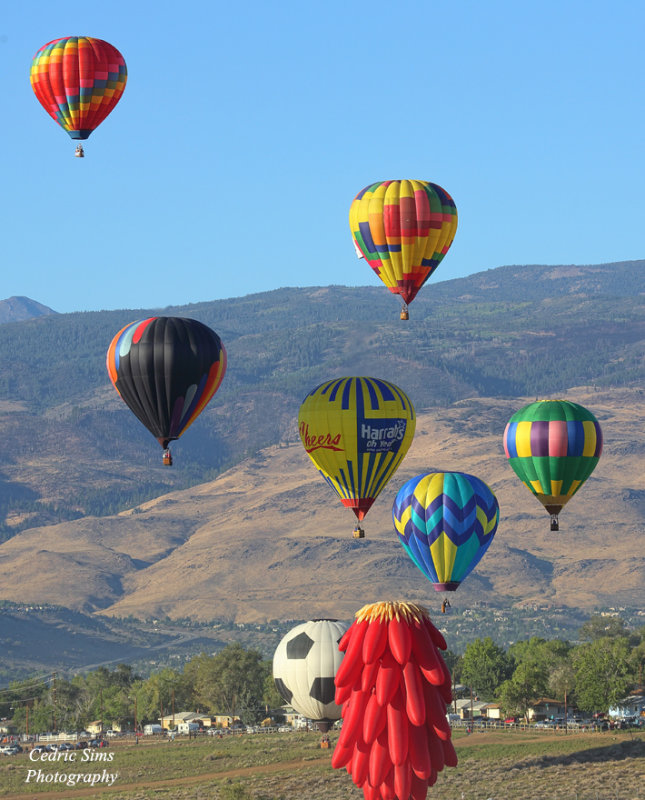 Great Reno Balloon Race 2014