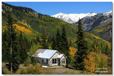  San Juan National Forest (Highway 550) 