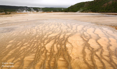  Grand Prismatic Spring