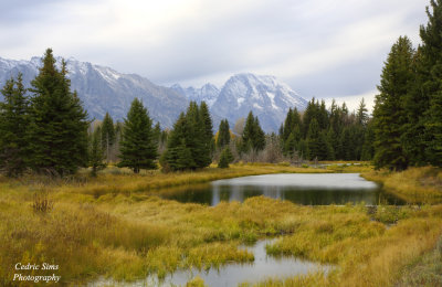 Schwabacher Landing