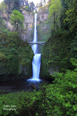  Multnomah Falls