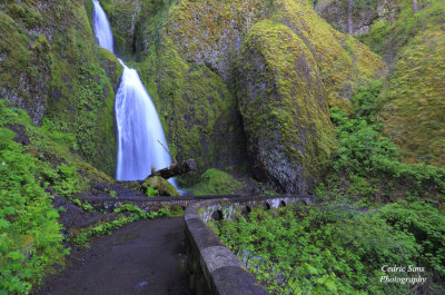  Wahkeena Falls 