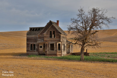 Old house in Petersburg,Oregon