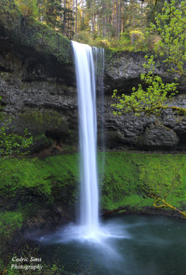 Upper South Falls (Silver Falls Park)