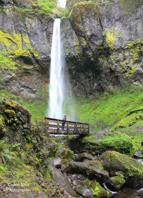 Elowah Falls 