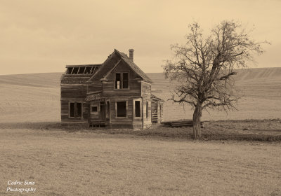 Old house in Petersburg,Oregon 