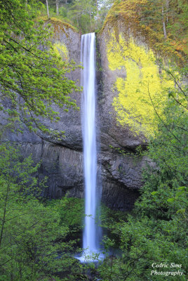 Latourell Falls