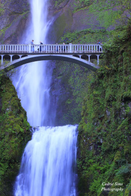 Multnomah