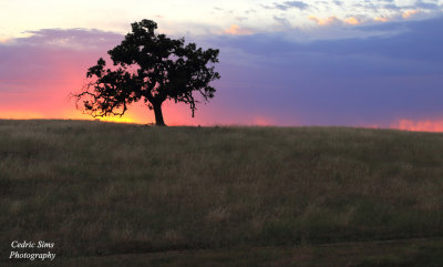 Sunset in Folsom, Ca.