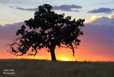 Sunset in Folsom, Ca.