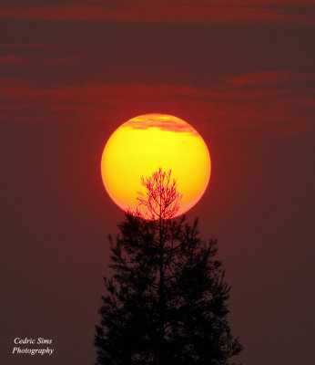 Due to the smoky skies from the Butte fire.