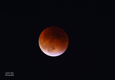 Super Moon Lunar Eclispe 2015 