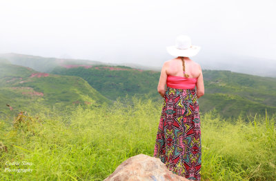 Looking out at the Waimea Canyon