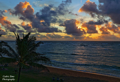 Coconut Beach Sunrise