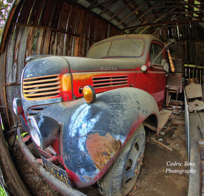 Dodge trapped in a Ford garage