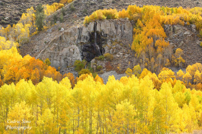 Waterfall surrounded by fall colors in Bishop, Ca. 2016