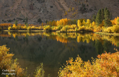 Reflections at Intake Pond in Bishop, Ca. 2016