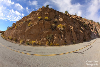 Playing around with the Fisheye lens off Highway 395