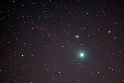 Comet Lovejoy v2.jpg
