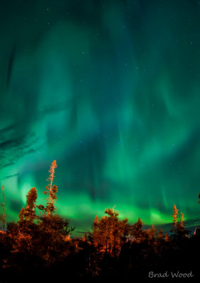 Northern Lights at Victor-1.jpg