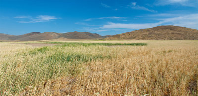 South-Central Idaho Lots of Open Territory