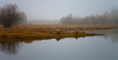 Salmon Creek Greenway Trail, Vancouver, Washington; December 2013