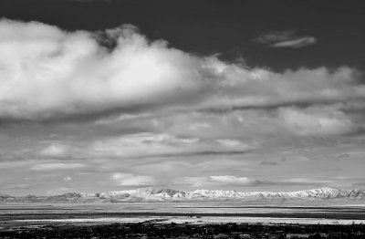 IMGP8296BW.jpg