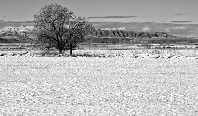 In the Bleak Midwinter (Rev.Jan 2013 & Jan 2015)