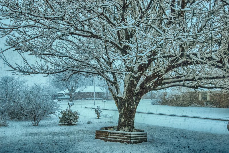 Winter Weather